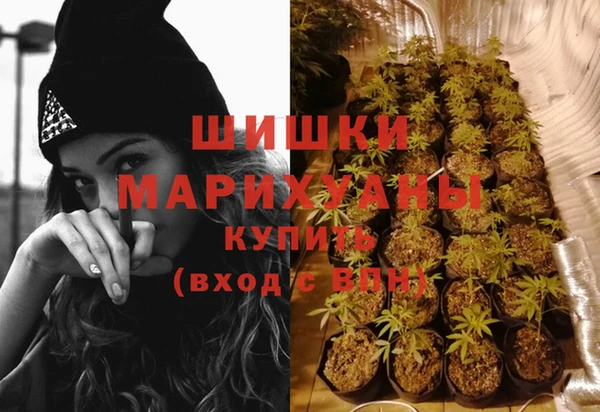 крисы Зерноград