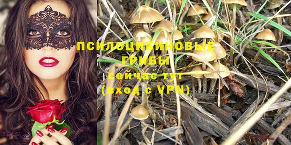 СК Усинск