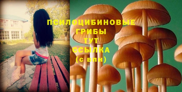 хмурый Усолье-Сибирское