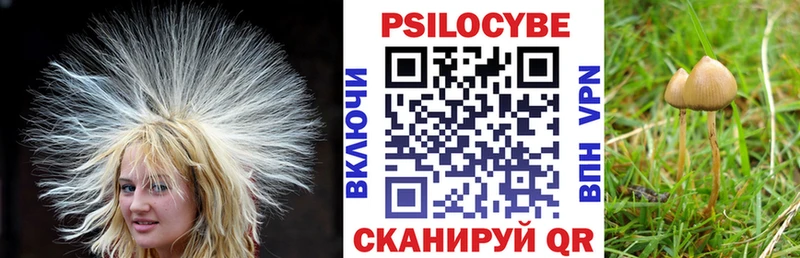 Галлюциногенные грибы мухоморы  мега ссылка  Ижевск 