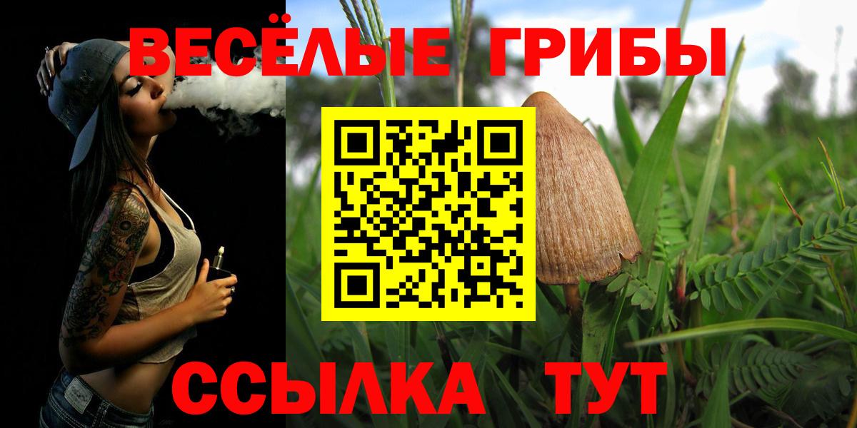 Псилоцибиновые грибы Psilocybine cubensis Ижевск